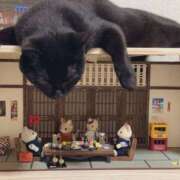 ヒメ日記 2025/09/30 11:00 投稿 ほのか 妻天 日本橋店