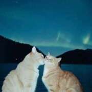 ヒメ日記 2025/10/04 10:57 投稿 ほのか 妻天 日本橋店