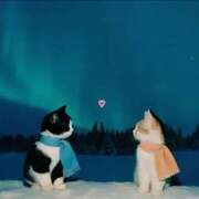 ヒメ日記 2025/10/05 11:04 投稿 ほのか 妻天 日本橋店