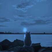 ヒメ日記 2025/10/08 11:11 投稿 ほのか 妻天 日本橋店