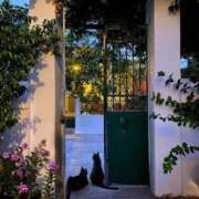 ヒメ日記 2025/10/13 11:10 投稿 ほのか 妻天 日本橋店