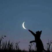 ヒメ日記 2025/10/14 10:45 投稿 ほのか 妻天 日本橋店