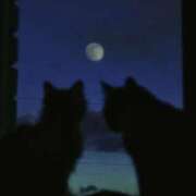 ヒメ日記 2025/10/16 11:05 投稿 ほのか 妻天 日本橋店