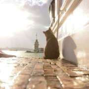 ヒメ日記 2025/10/22 11:32 投稿 ほのか 妻天 日本橋店