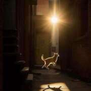 ヒメ日記 2025/10/26 11:08 投稿 ほのか 妻天 日本橋店