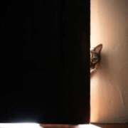 ヒメ日記 2025/10/28 10:59 投稿 ほのか 妻天 日本橋店