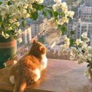 ヒメ日記 2025/10/30 10:55 投稿 ほのか 妻天 日本橋店