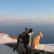 ヒメ日記 2025/11/02 11:02 投稿 ほのか 妻天 日本橋店