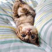 ヒメ日記 2025/11/05 10:55 投稿 ほのか 妻天 日本橋店