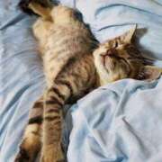 ヒメ日記 2025/11/06 10:59 投稿 ほのか 妻天 日本橋店