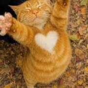 ヒメ日記 2025/11/12 10:55 投稿 ほのか 妻天 日本橋店