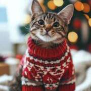 ヒメ日記 2025/11/16 10:49 投稿 ほのか 妻天 日本橋店