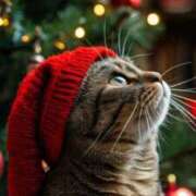 ヒメ日記 2025/11/22 11:07 投稿 ほのか 妻天 日本橋店