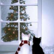 ヒメ日記 2025/11/25 11:08 投稿 ほのか 妻天 日本橋店