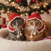 ヒメ日記 2025/11/26 11:00 投稿 ほのか 妻天 日本橋店