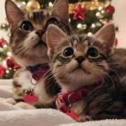 ヒメ日記 2025/11/27 11:12 投稿 ほのか 妻天 日本橋店