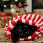 ヒメ日記 2025/11/30 11:04 投稿 ほのか 妻天 日本橋店