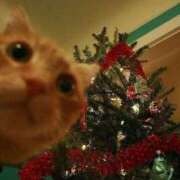 ヒメ日記 2025/12/02 10:56 投稿 ほのか 妻天 日本橋店