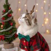 ほのか 食べれるって素晴らしい 妻天 日本橋店