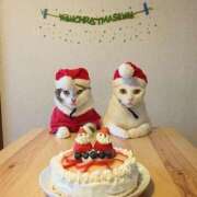 ほのか 月下美人て意味だってね 妻天 日本橋店