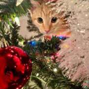 ほのか お金持ちの家 妻天 日本橋店