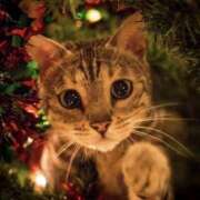 ヒメ日記 2025/12/10 10:50 投稿 ほのか 妻天 日本橋店