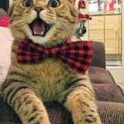 ヒメ日記 2025/12/11 10:55 投稿 ほのか 妻天 日本橋店