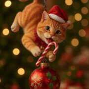 ヒメ日記 2025/12/13 10:57 投稿 ほのか 妻天 日本橋店