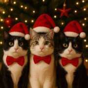 ヒメ日記 2025/12/16 10:53 投稿 ほのか 妻天 日本橋店