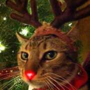 ヒメ日記 2025/12/18 11:07 投稿 ほのか 妻天 日本橋店