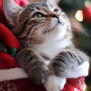 ヒメ日記 2025/12/21 10:49 投稿 ほのか 妻天 日本橋店