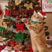 ヒメ日記 2025/12/25 11:04 投稿 ほのか 妻天 日本橋店