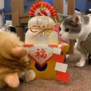 ヒメ日記 2025/12/28 11:03 投稿 ほのか 妻天 日本橋店