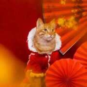 ヒメ日記 2025/12/29 10:58 投稿 ほのか 妻天 日本橋店