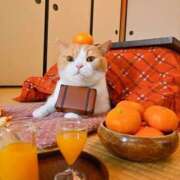 ヒメ日記 2025/12/30 11:03 投稿 ほのか 妻天 日本橋店