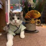 ヒメ日記 2026/01/04 11:03 投稿 ほのか 妻天 日本橋店