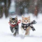 ヒメ日記 2026/01/06 10:47 投稿 ほのか 妻天 日本橋店