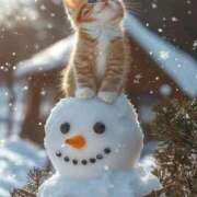 ヒメ日記 2026/01/07 11:00 投稿 ほのか 妻天 日本橋店