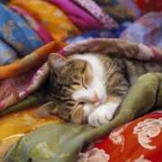 ヒメ日記 2026/01/08 10:57 投稿 ほのか 妻天 日本橋店