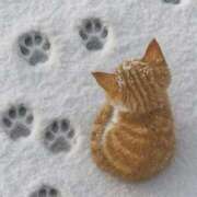 ヒメ日記 2026/01/13 10:58 投稿 ほのか 妻天 日本橋店