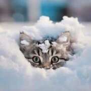 ヒメ日記 2026/01/17 10:50 投稿 ほのか 妻天 日本橋店