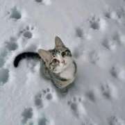 ヒメ日記 2026/01/18 11:03 投稿 ほのか 妻天 日本橋店