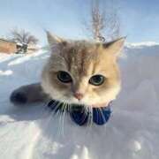 ヒメ日記 2026/01/20 11:02 投稿 ほのか 妻天 日本橋店