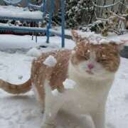 ヒメ日記 2026/01/21 11:06 投稿 ほのか 妻天 日本橋店