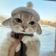 ヒメ日記 2026/01/22 11:07 投稿 ほのか 妻天 日本橋店