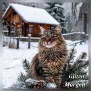 ヒメ日記 2026/01/24 11:03 投稿 ほのか 妻天 日本橋店