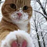 ヒメ日記 2026/01/25 10:58 投稿 ほのか 妻天 日本橋店