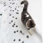 ヒメ日記 2026/01/29 10:56 投稿 ほのか 妻天 日本橋店