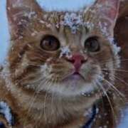 ヒメ日記 2026/01/31 10:57 投稿 ほのか 妻天 日本橋店