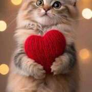 ヒメ日記 2026/02/03 11:05 投稿 ほのか 妻天 日本橋店